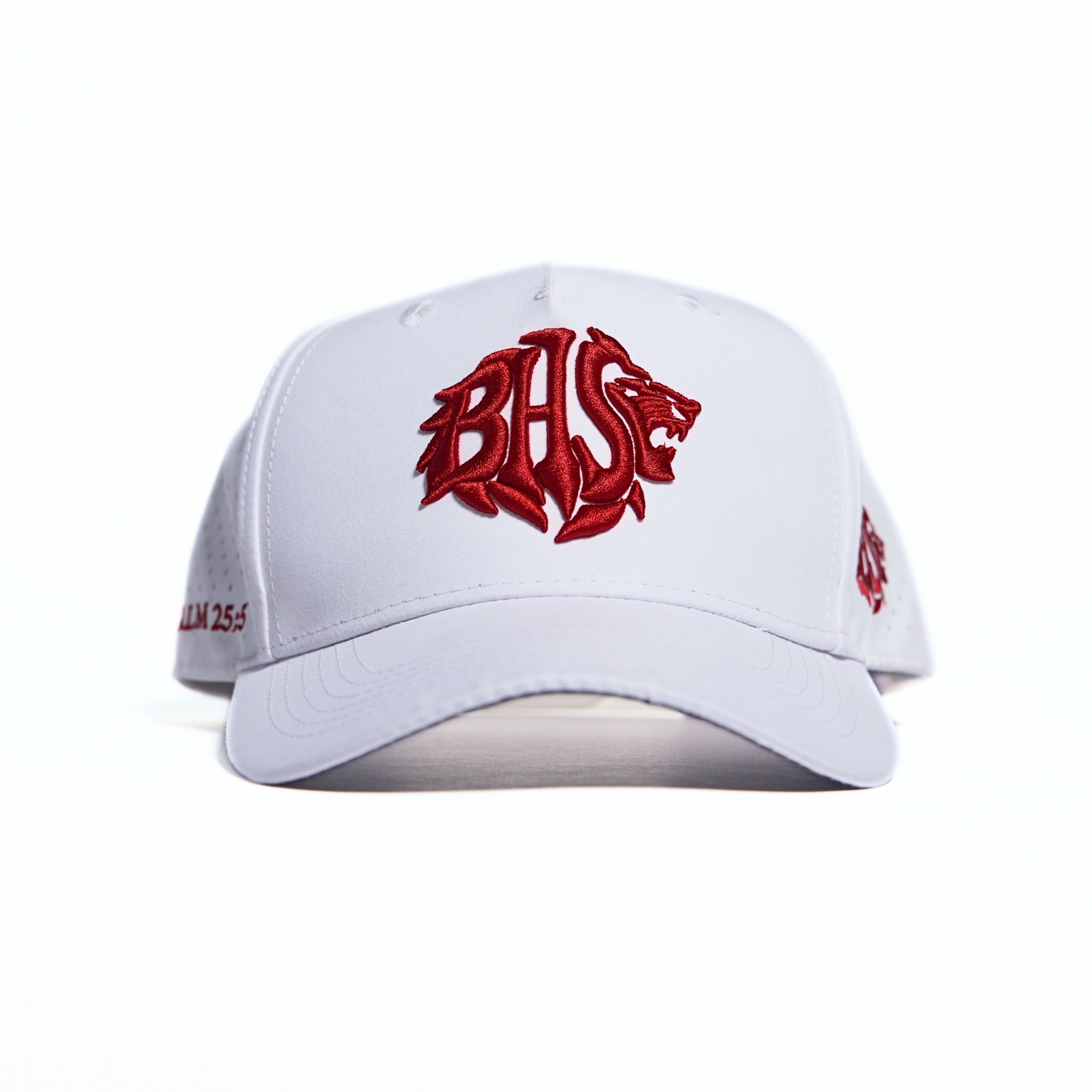 BHS OG Standard White Psalm 25:5 Snapback Hat