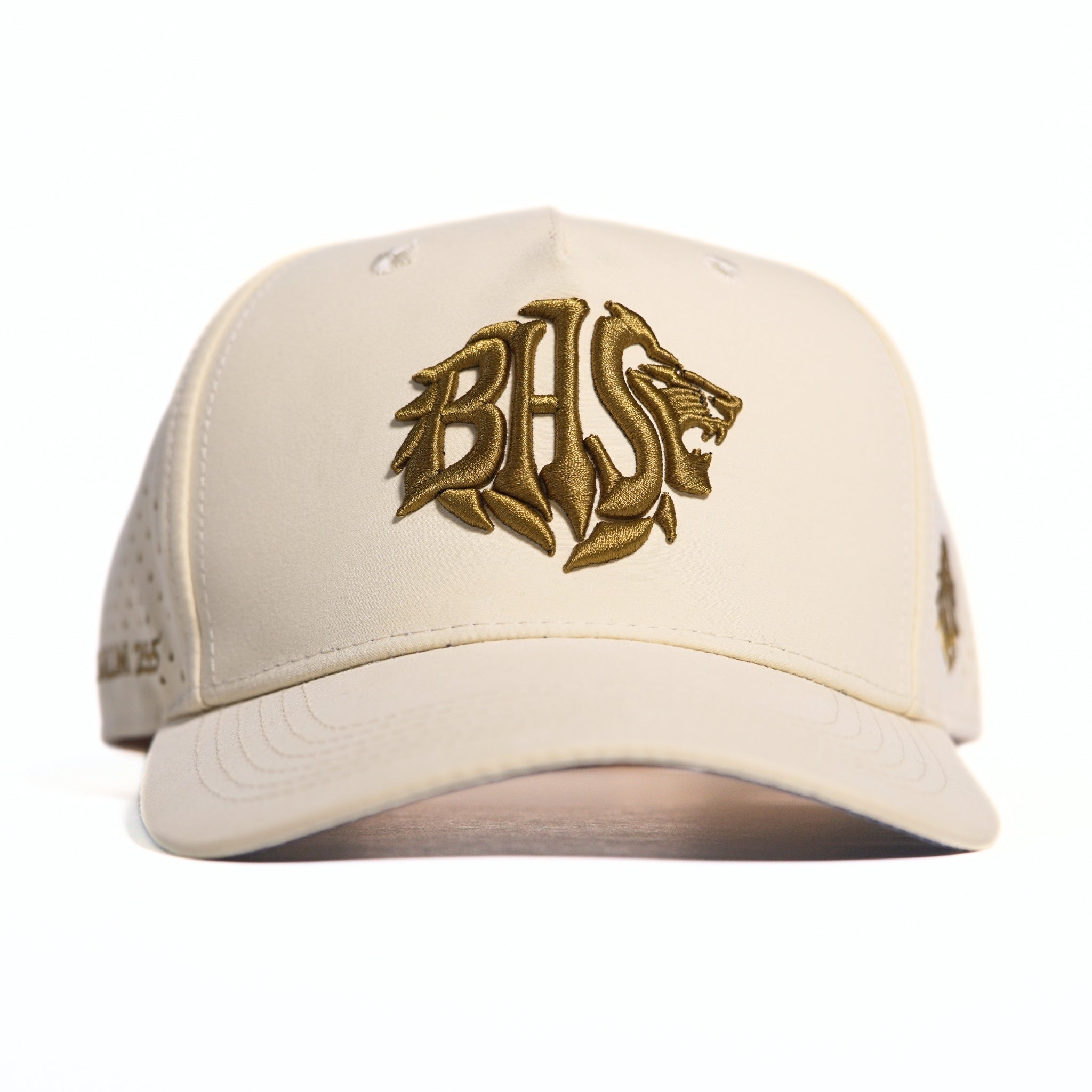 BHS OG Standard Khaki Psalm 25:5 Snapback Hat