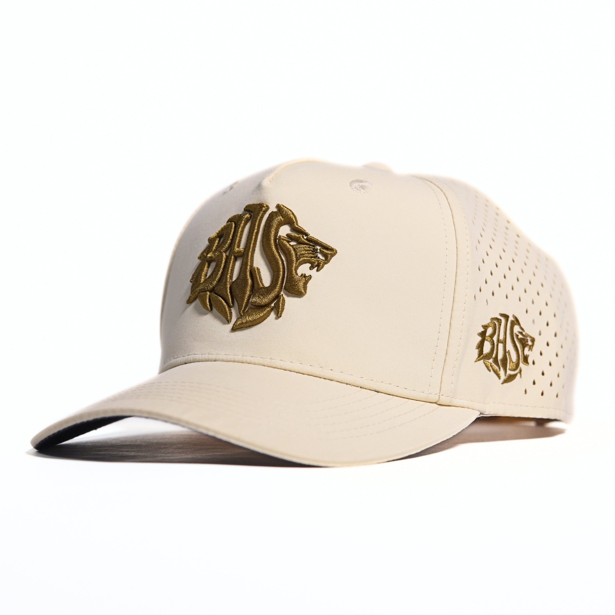 BHS OG Standard Khaki Psalm 25:5 Snapback Hat