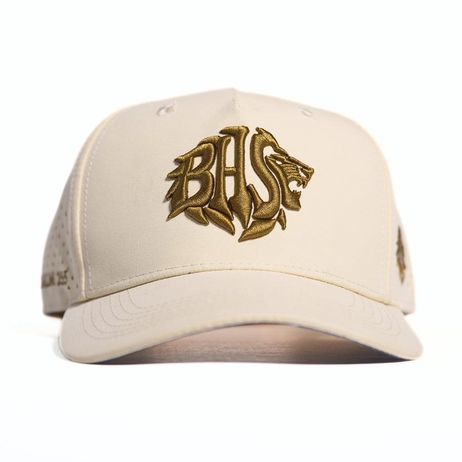 BHS OG Standard Khaki Psalm 25:5 Snapback Hat - alternate view